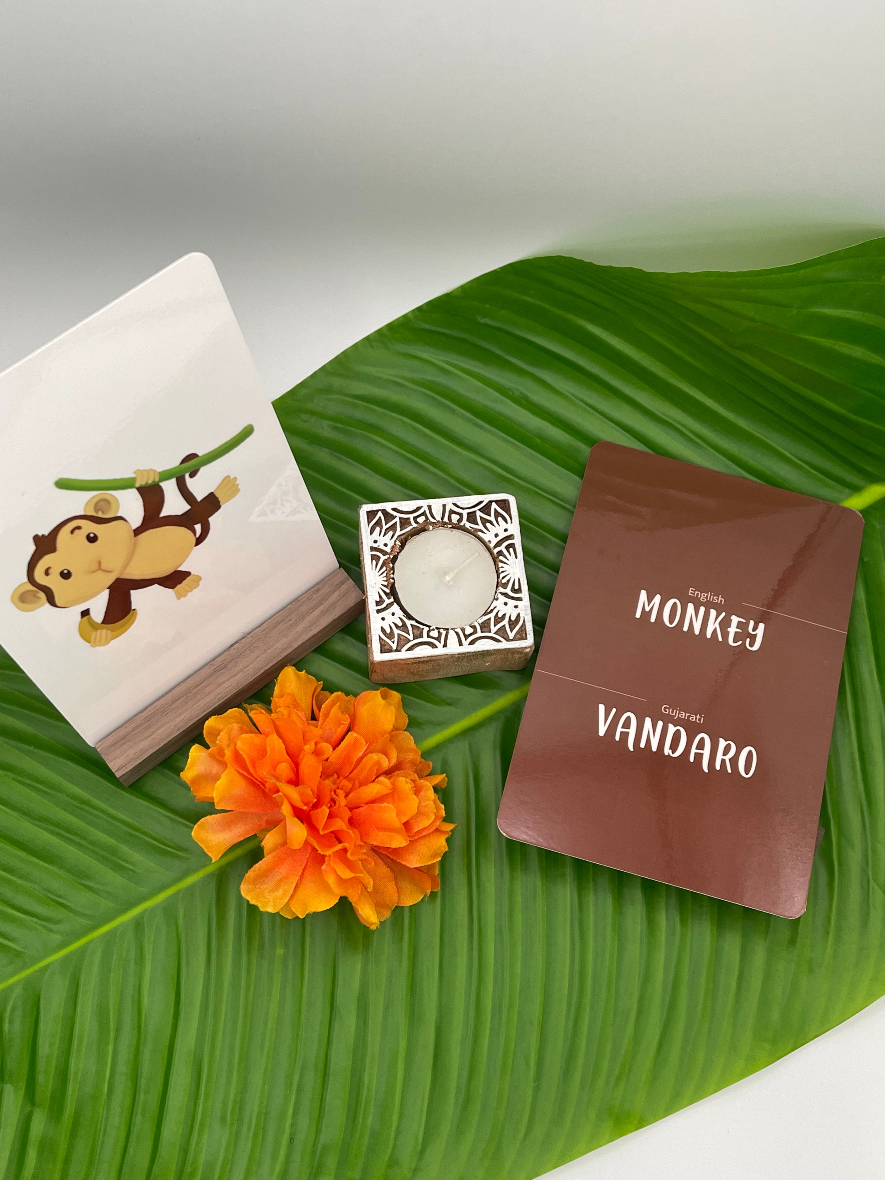 Gujarati Koala Mom Flashcards (Gujarati - English) - BhashaKids